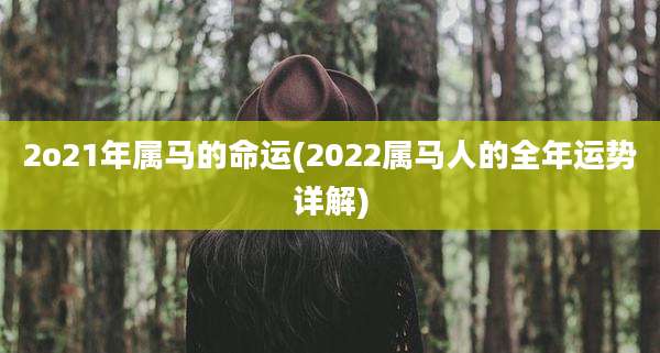 2o21年属马的命运(2022属马人的全年运势详解)