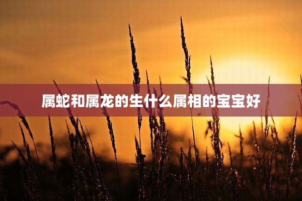 属蛇和属龙的生什么属相的宝宝好