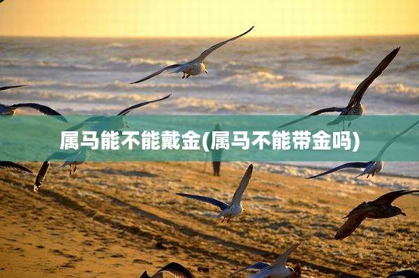 属马能不能戴金(属马不能带金吗)