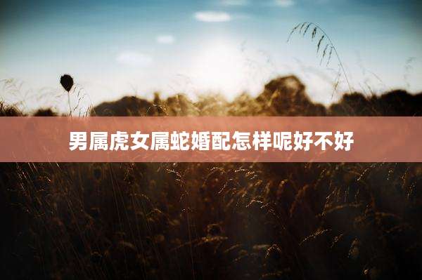 男属虎女属蛇婚配怎样呢好不好