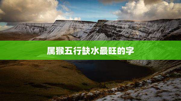 属猴五行缺水最旺的字