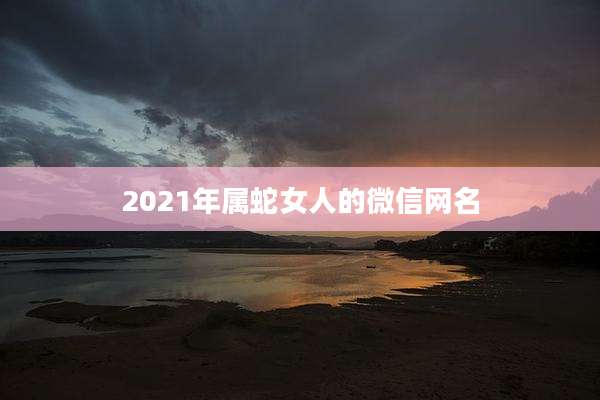 2021年属蛇女人的微信网名