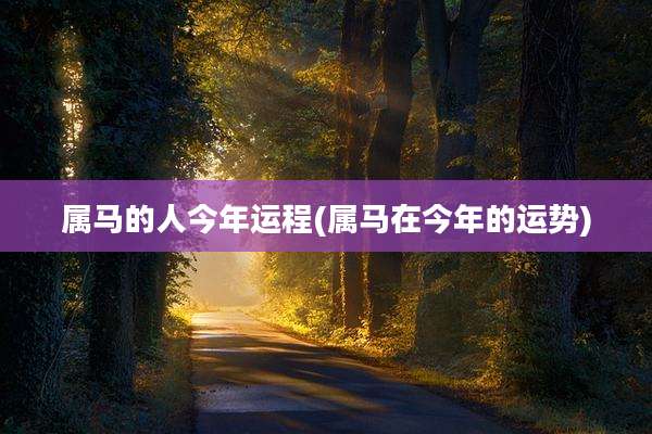 属马的人今年运程(属马在今年的运势)