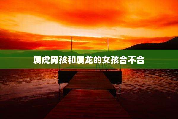属虎男孩和属龙的女孩合不合