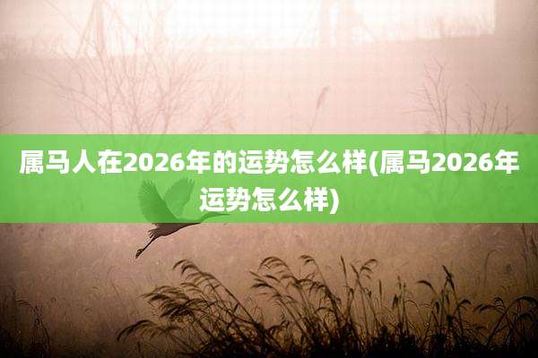 属马人在2026年的运势怎么样(属马2026年运势怎么样)