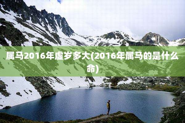 属马2016年虚岁多大(2016年属马的是什么命)