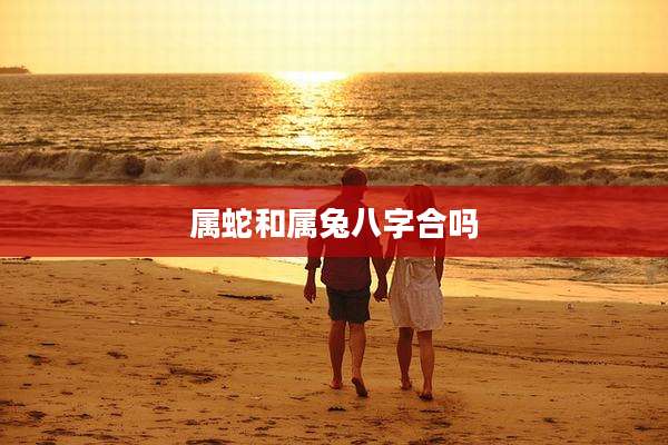 属蛇和属兔八字合吗