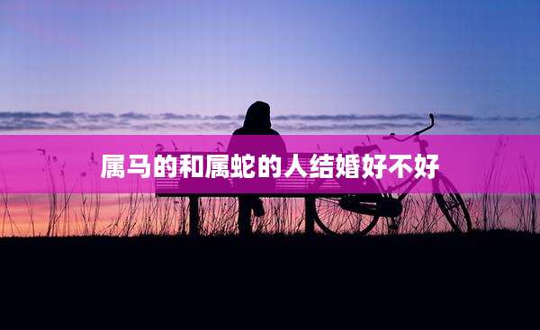 属马的和属蛇的人结婚好不好