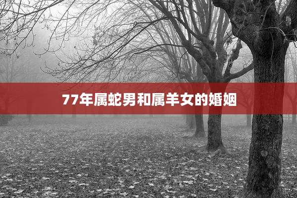 77年属蛇男和属羊女的婚姻