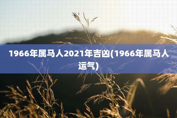 1966年属马人2021年吉凶(1966年属马人运气)