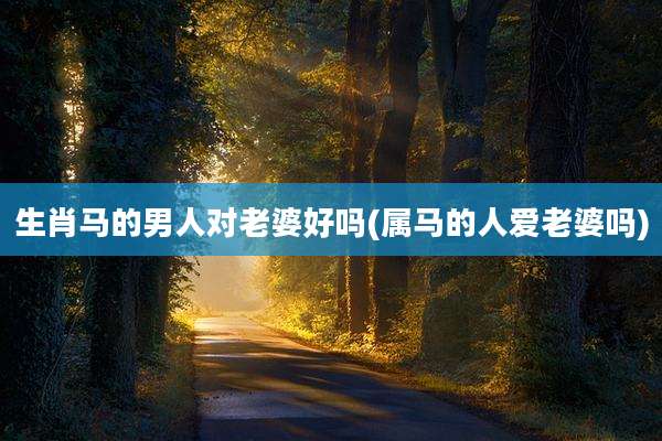 生肖马的男人对老婆好吗(属马的人爱老婆吗)