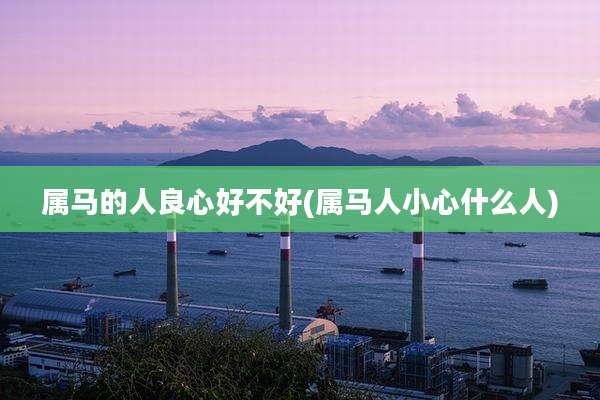 属马的人良心好不好(属马人小心什么人)