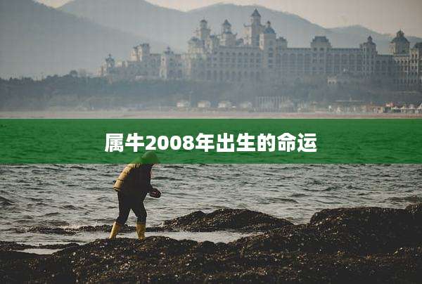 属牛2008年出生的命运