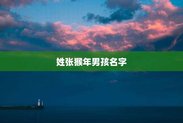 姓张猴年男孩名字