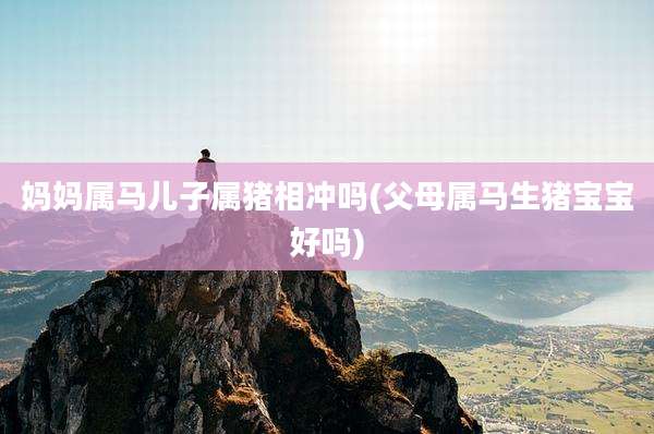 妈妈属马儿子属猪相冲吗(父母属马生猪宝宝好吗)