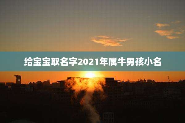 给宝宝取名字2021年属牛男孩小名