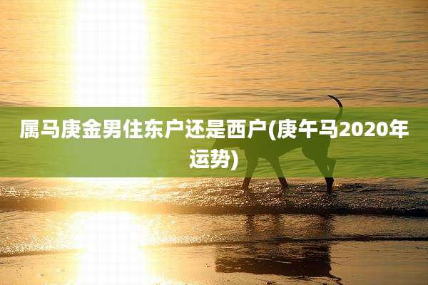 属马庚金男住东户还是西户(庚午马2020年运势)