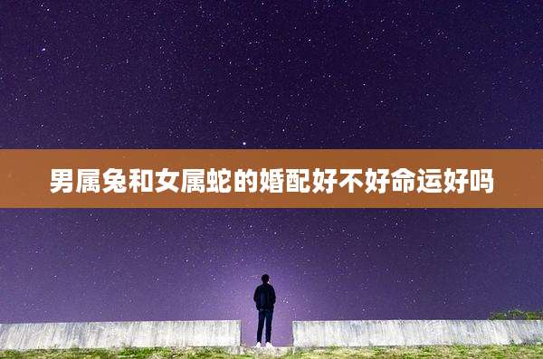 男属兔和女属蛇的婚配好不好命运好吗