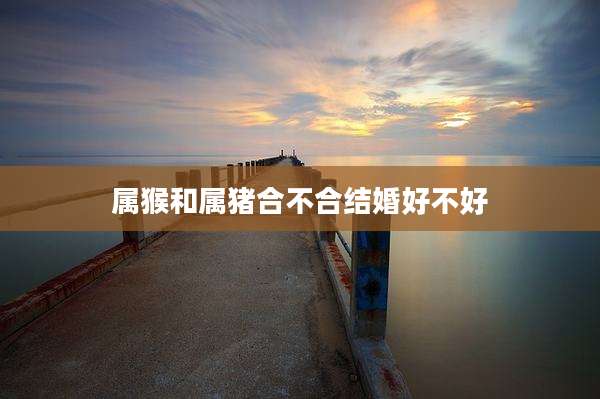 属猴和属猪合不合结婚好不好