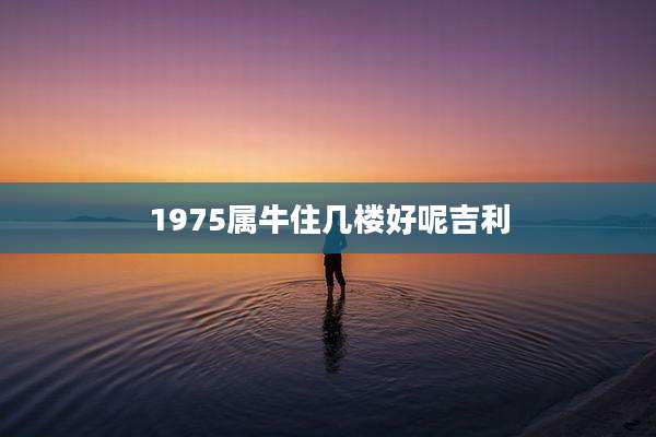 1975属牛住几楼好呢吉利
