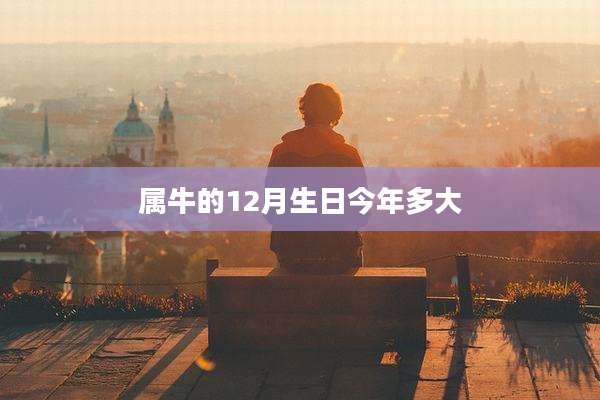 属牛的12月生日今年多大