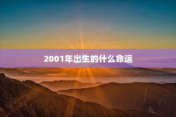 2001年出生的什么命运