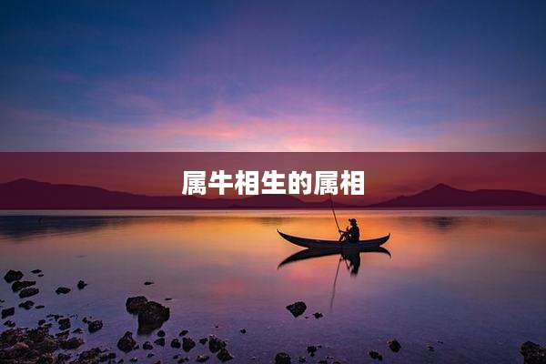 属牛相生的属相