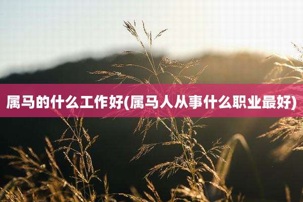 属马的什么工作好(属马人从事什么职业最好)