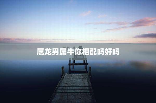 属龙男属牛你相配吗好吗