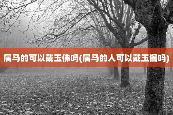 属马的可以戴玉佛吗(属马的人可以戴玉镯吗)