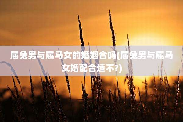 属兔男与属马女的婚姻合吗(属兔男与属马女婚配合适不?)