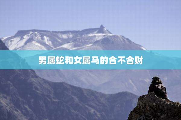 男属蛇和女属马的合不合财