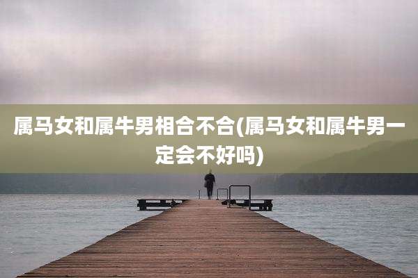 属马女和属牛男相合不合(属马女和属牛男一定会不好吗)