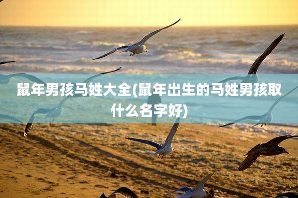 鼠年男孩马姓大全(鼠年出生的马姓男孩取什么名字好)