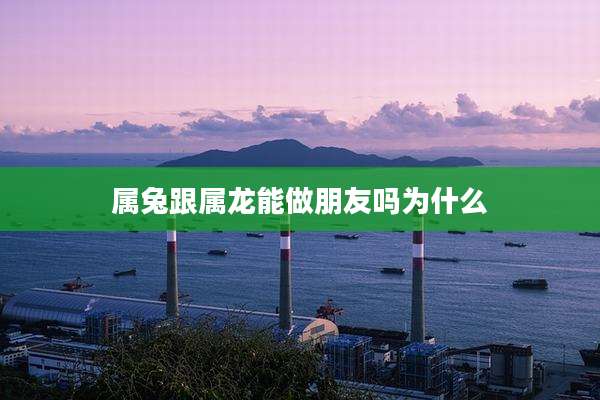 属兔跟属龙能做朋友吗为什么