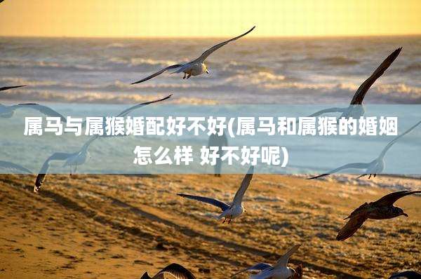 属马与属猴婚配好不好(属马和属猴的婚姻怎么样 好不好呢)