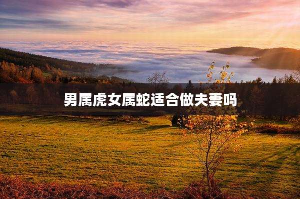 男属虎女属蛇适合做夫妻吗