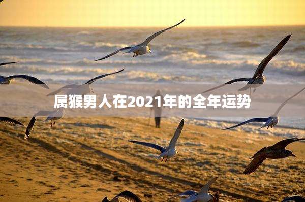 属猴男人在2021年的全年运势