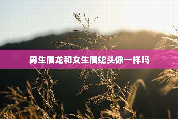 男生属龙和女生属蛇头像一样吗