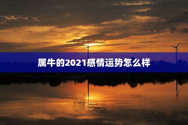 属牛的2021感情运势怎么样
