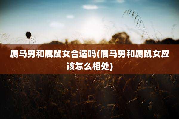 属马男和属鼠女合适吗(属马男和属鼠女应该怎么相处)