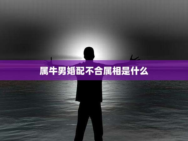 属牛男婚配不合属相是什么