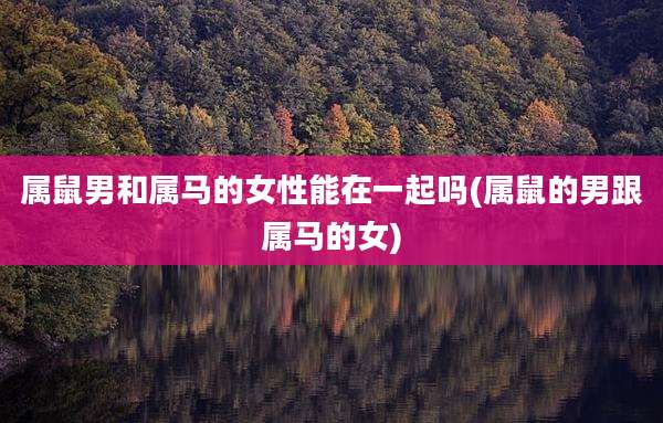 属鼠男和属马的女性能在一起吗(属鼠的男跟属马的女)