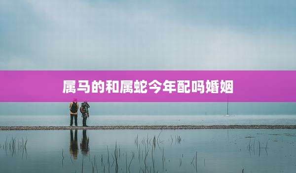 属马的和属蛇今年配吗婚姻