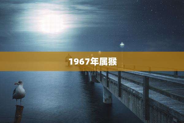 1967年属猴