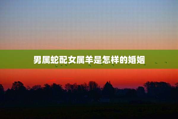 男属蛇配女属羊是怎样的婚姻