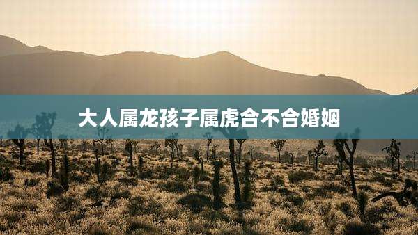 大人属龙孩子属虎合不合婚姻