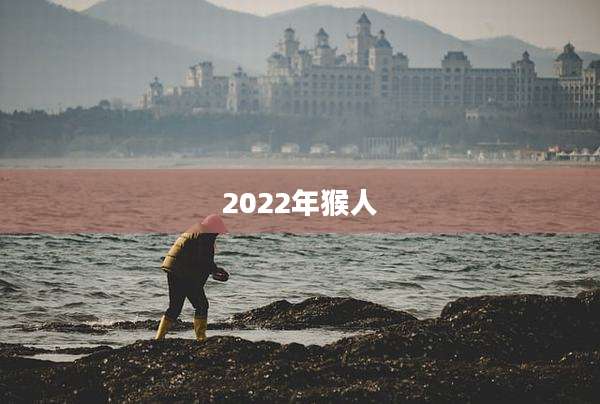 2022年猴人