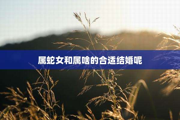 属蛇女和属啥的合适结婚呢