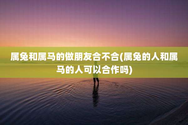 属兔和属马的做朋友合不合(属兔的人和属马的人可以合作吗)